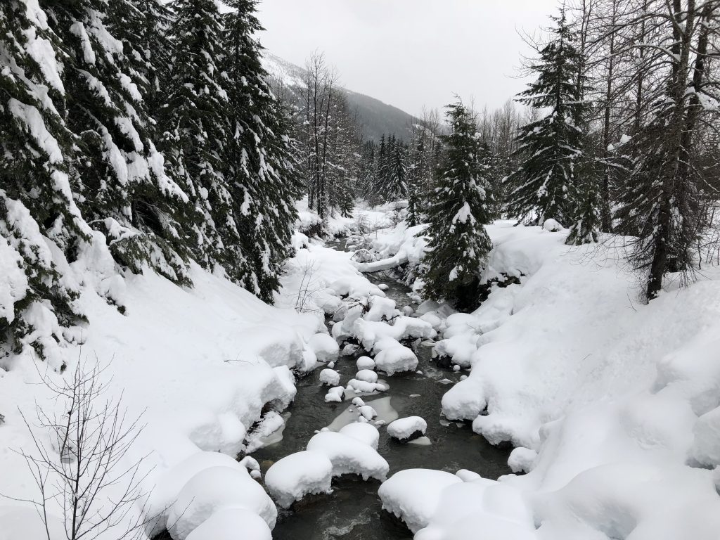Winter wonderland in Washington